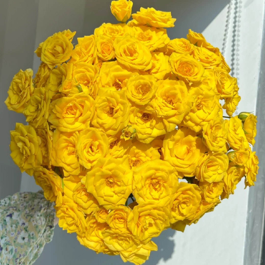 晴天--多头玫瑰--收到花花第一时间醒花哦