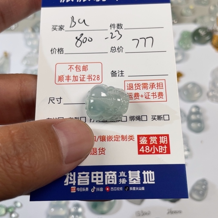 翡翠未镶嵌颈饰Ｂ**ｕ