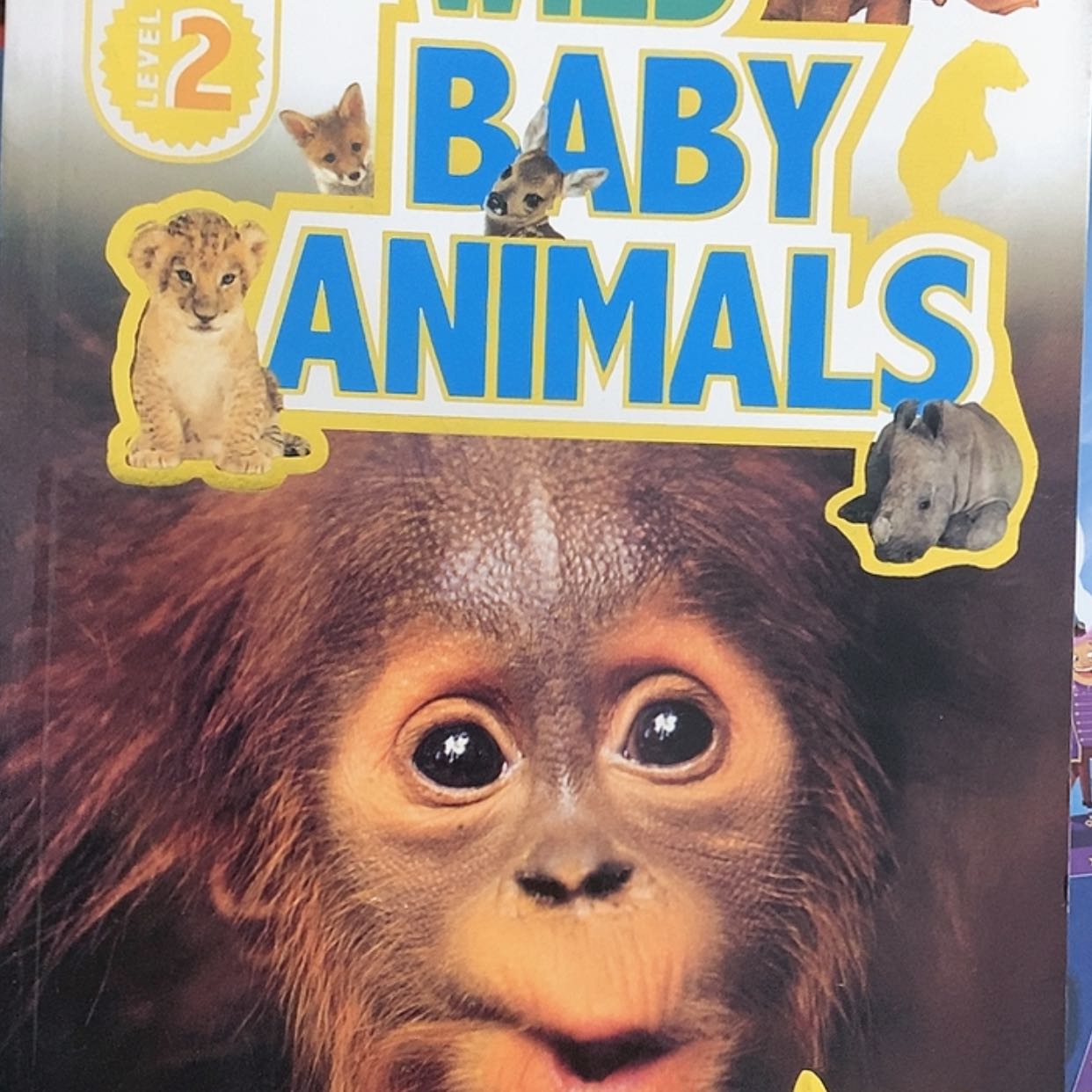 【闪购商品】原版Dk瑕疵13本