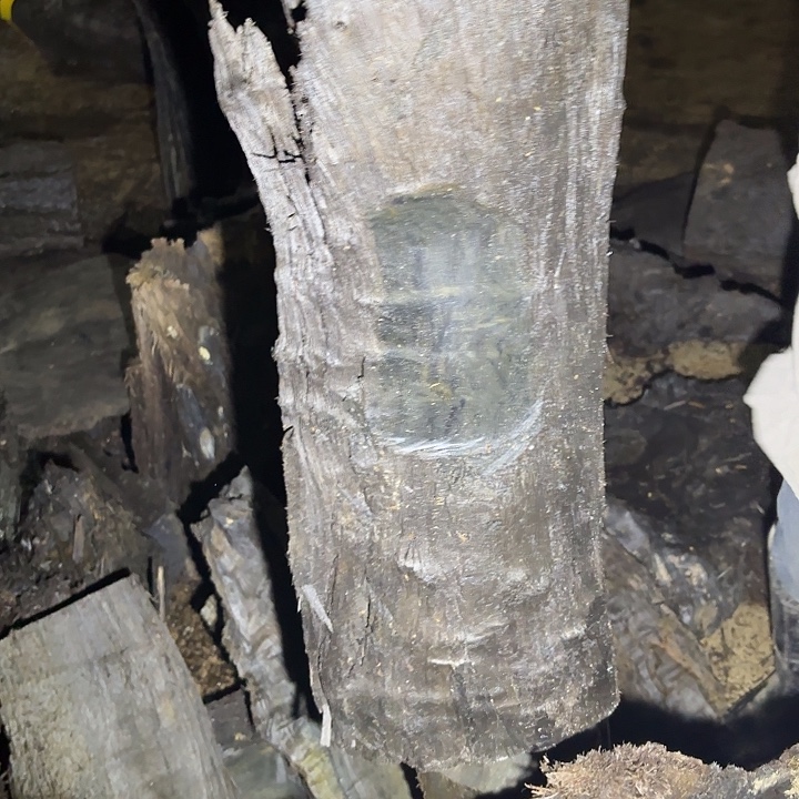 你***银金丝楠金丝楠阴沉木