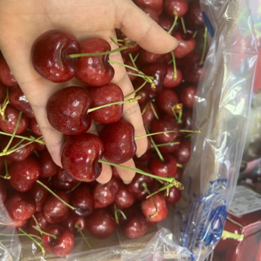 168元5斤智利拉宾斯4J车厘子