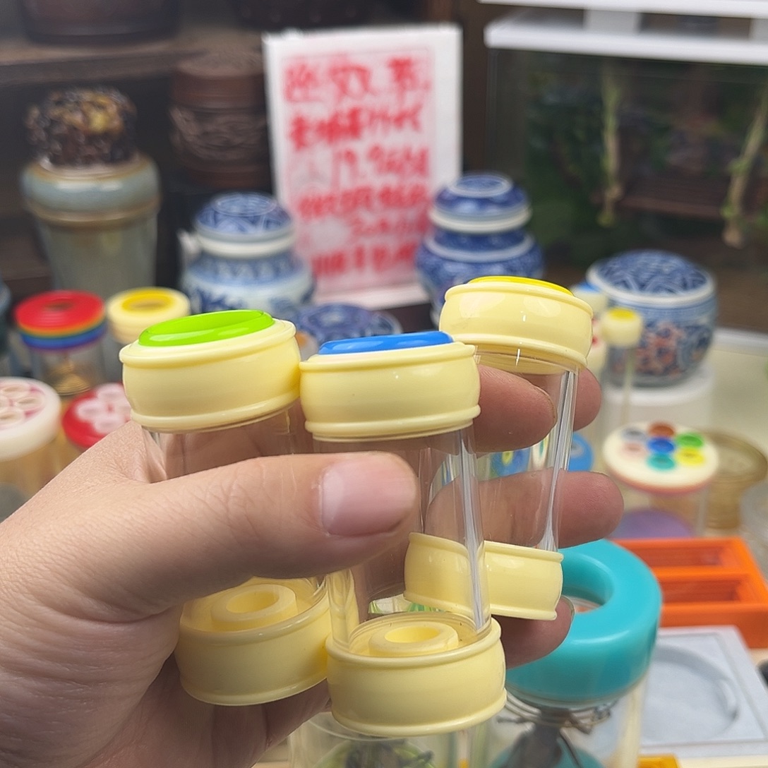 三个掌中宝桶子➕三条断须柬竹