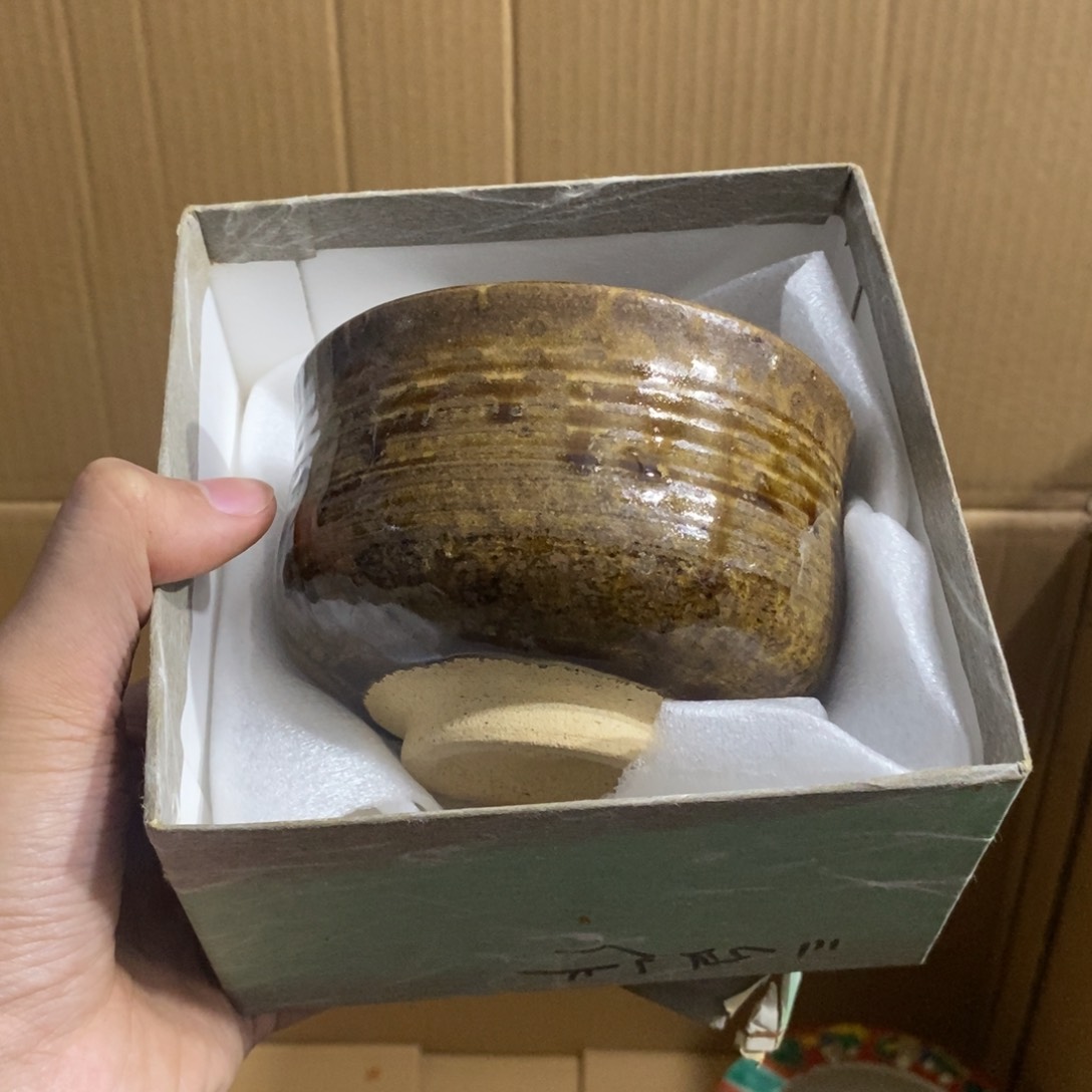 杯你想我什么时候才知道什么