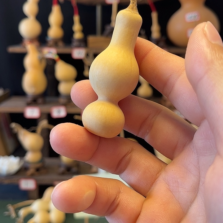 快**生路突突突LJLLJLLJLLJL