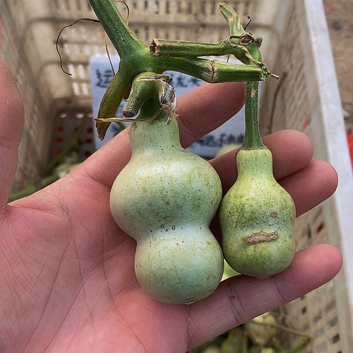 @*海哈哈哈哈哈哈哈哈哈