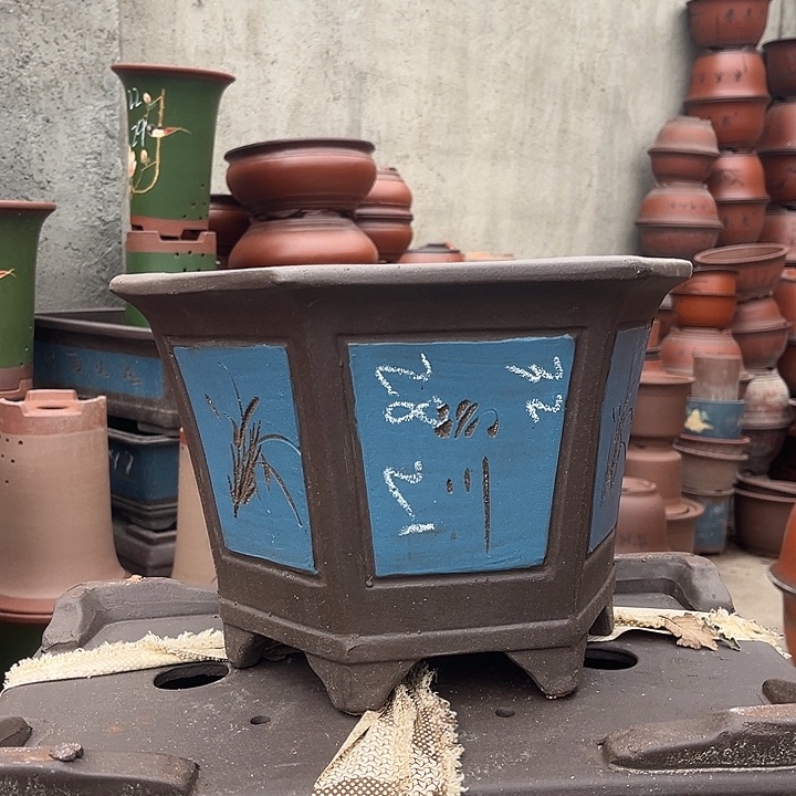 紫砂紫砂花盆盆栽