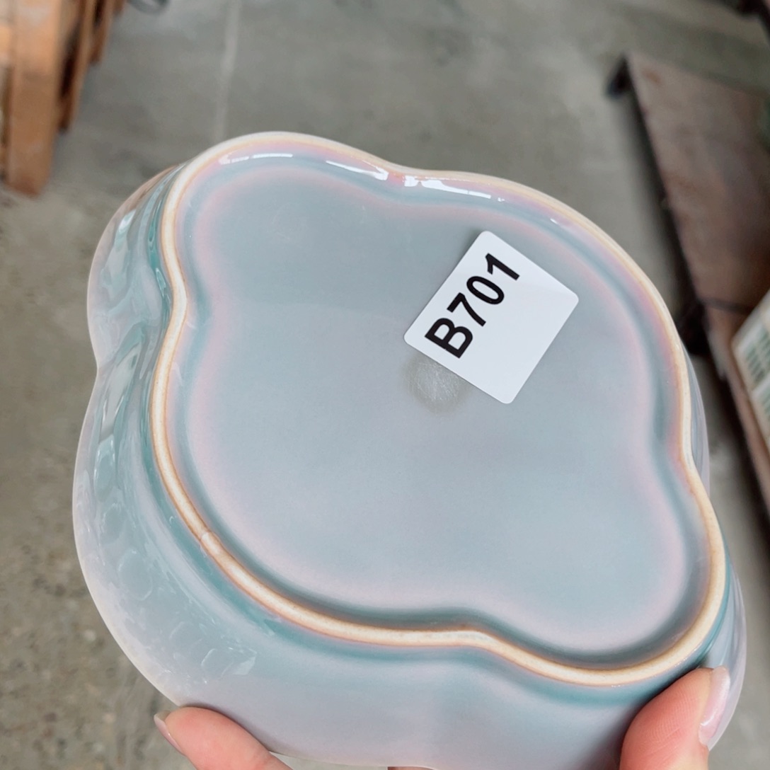 碗哈哈哈哈哈哈哈哈哈哈哈