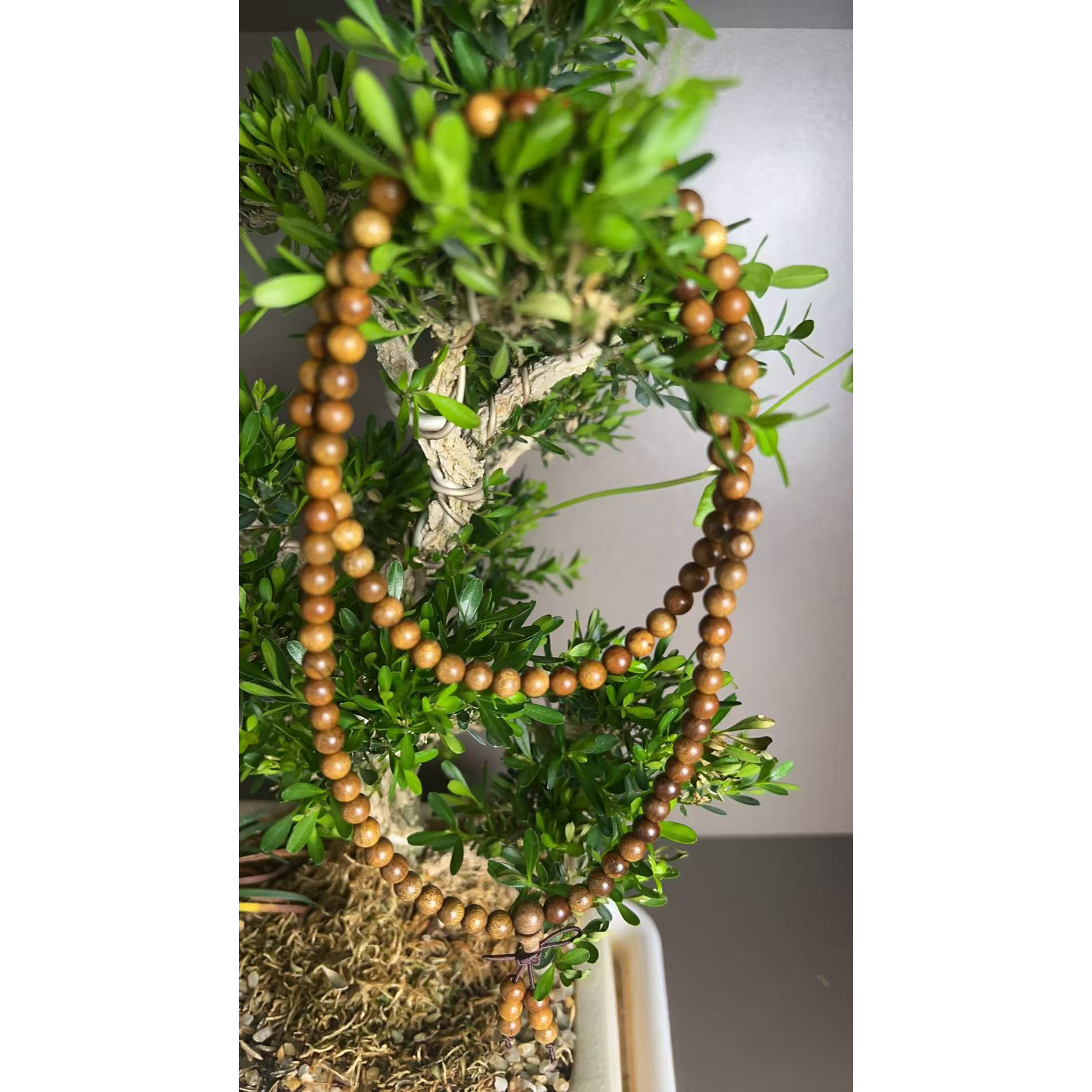 400 金丝檀108颗（无礼盒）