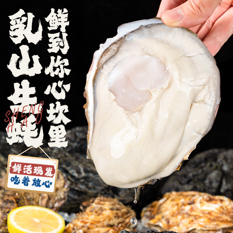 【鲜和专属】买3斤送2斤鲜活正宗乳山生蚝 牡蛎海蛎子冷水蚝肥嫩