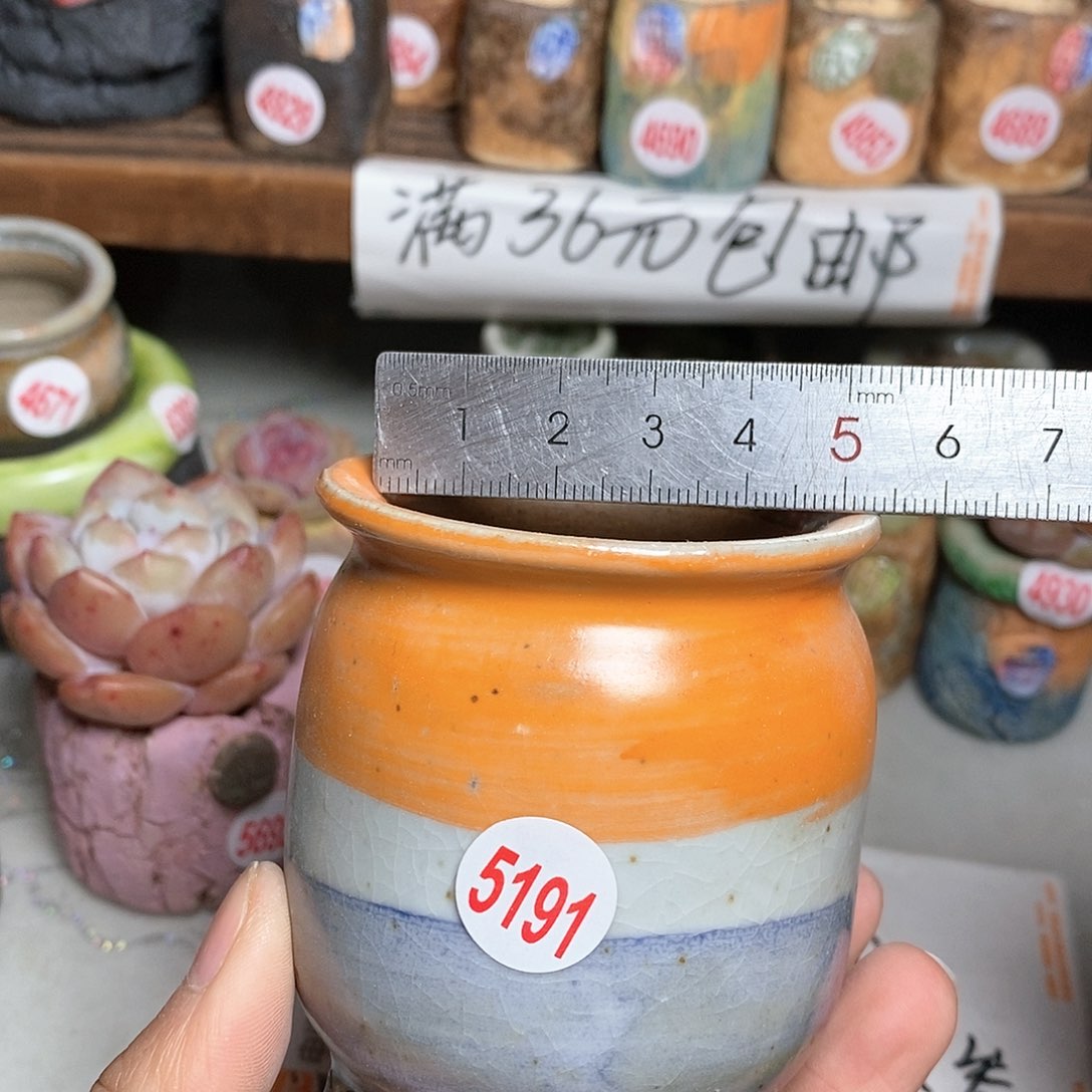 红陶拍5送一个小