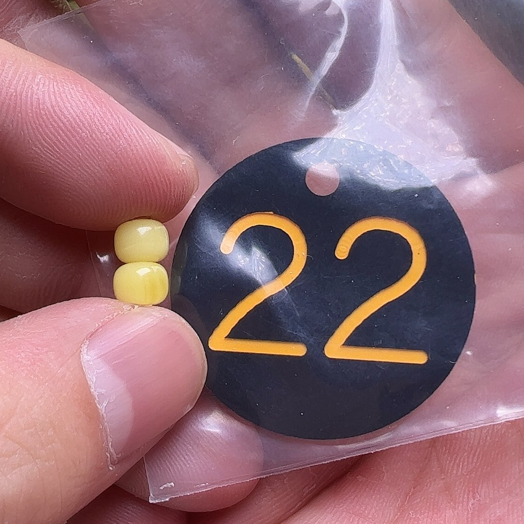 蜜蜡未镶嵌珠宝奇石6.3mm