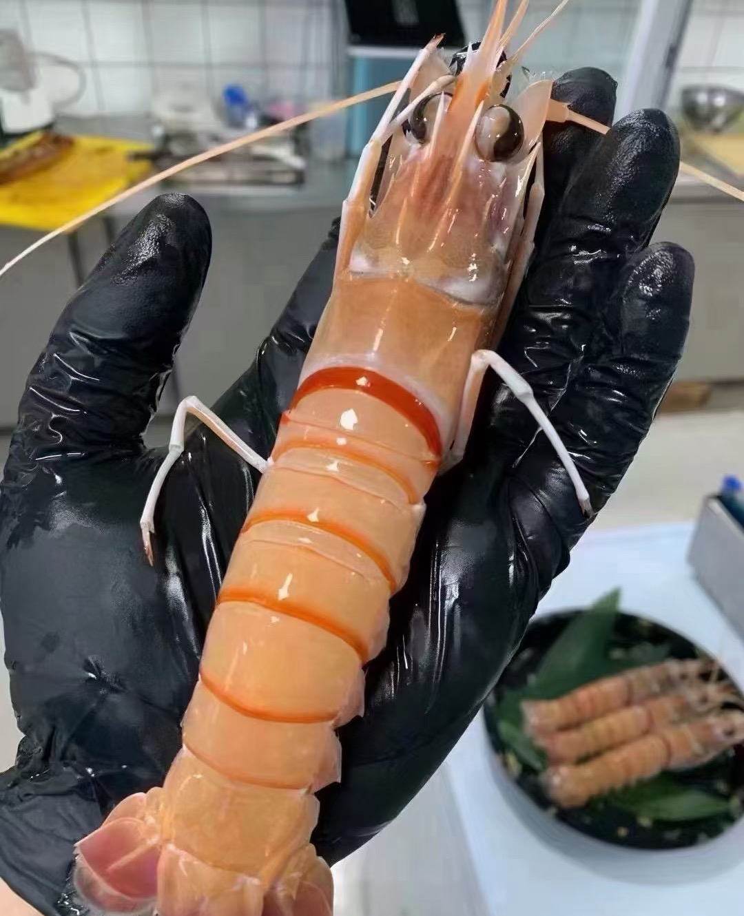 海螯虾野生虾刺身海鲜水产2斤4斤一箱