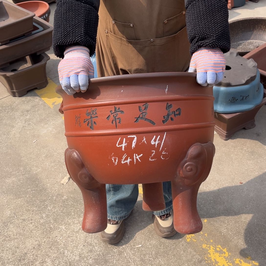 紫砂花盆盆景艺术