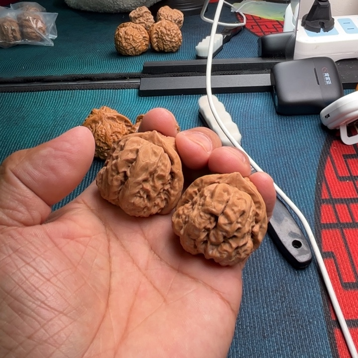 _***陳大叶紫檀（黑酸枝木类）