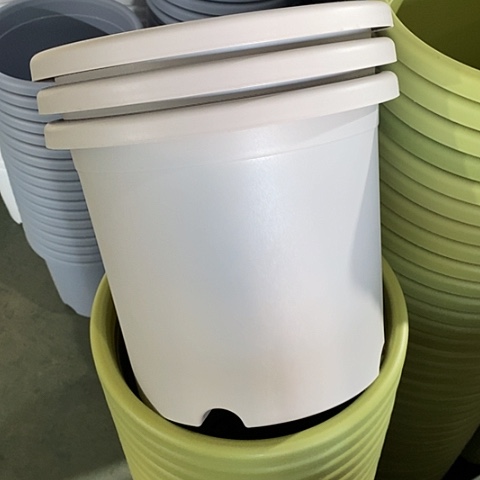 特价5号6个无托灰白