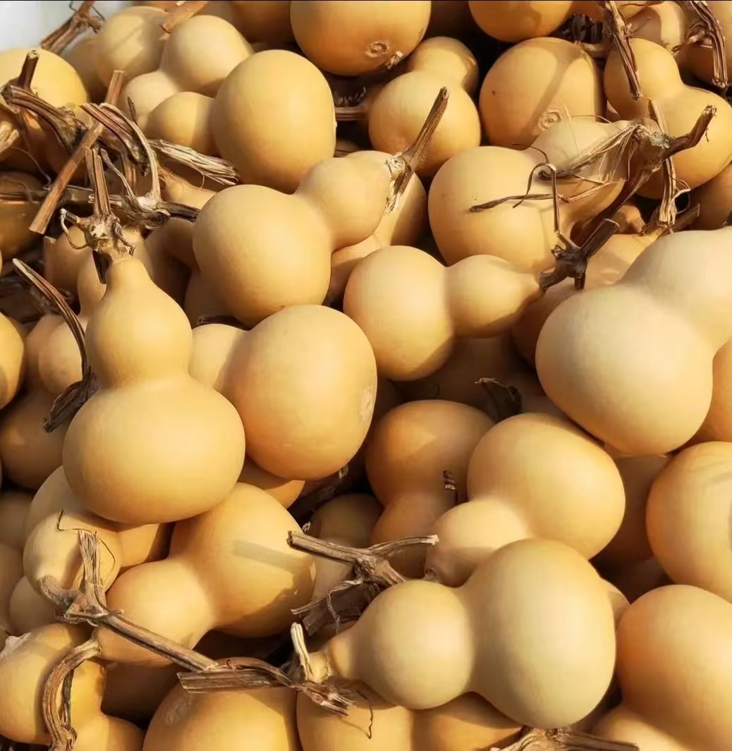 天然小葫芦手把件带龙头可盘玩的文玩精品葫芦葫芦