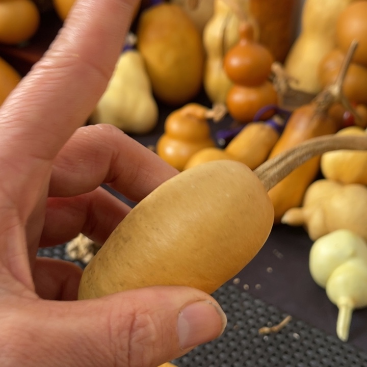 好***的葫芦葫哈哈哈哈哈哈