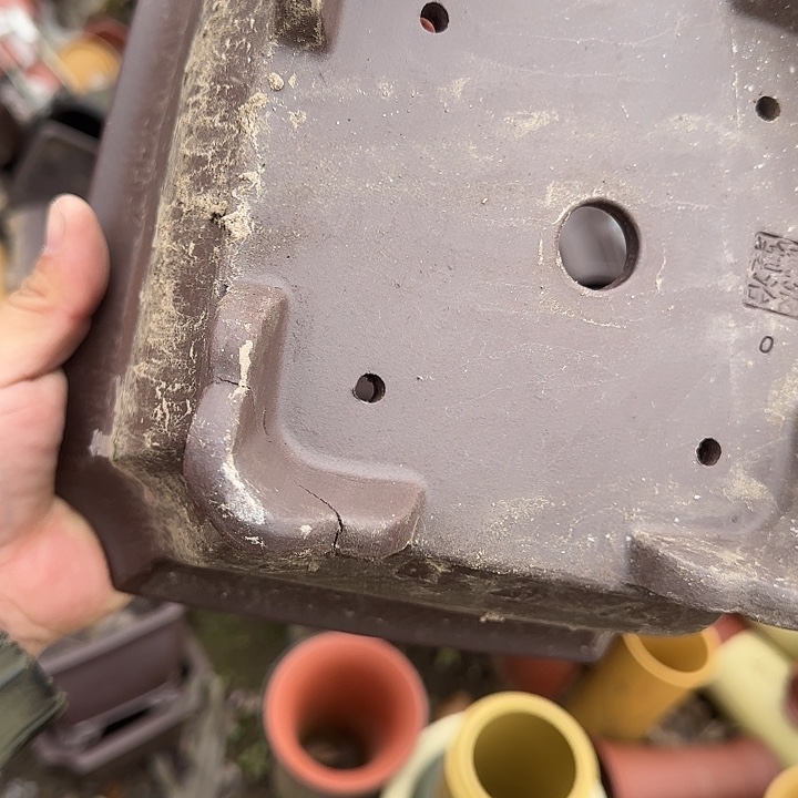 一定很有成就感哦笑起来超治愈哦这套也