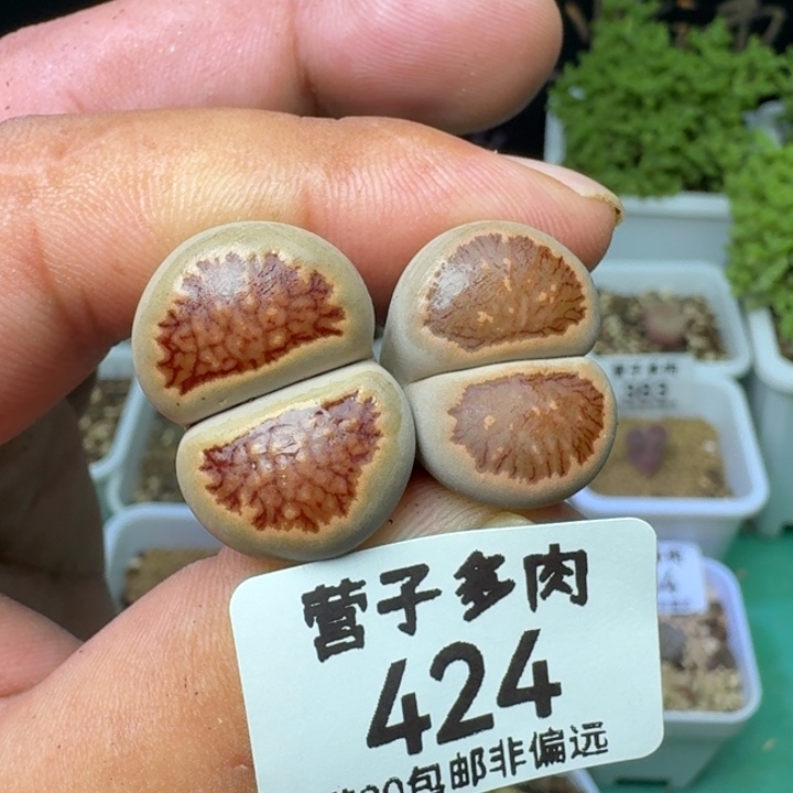 福利。              
