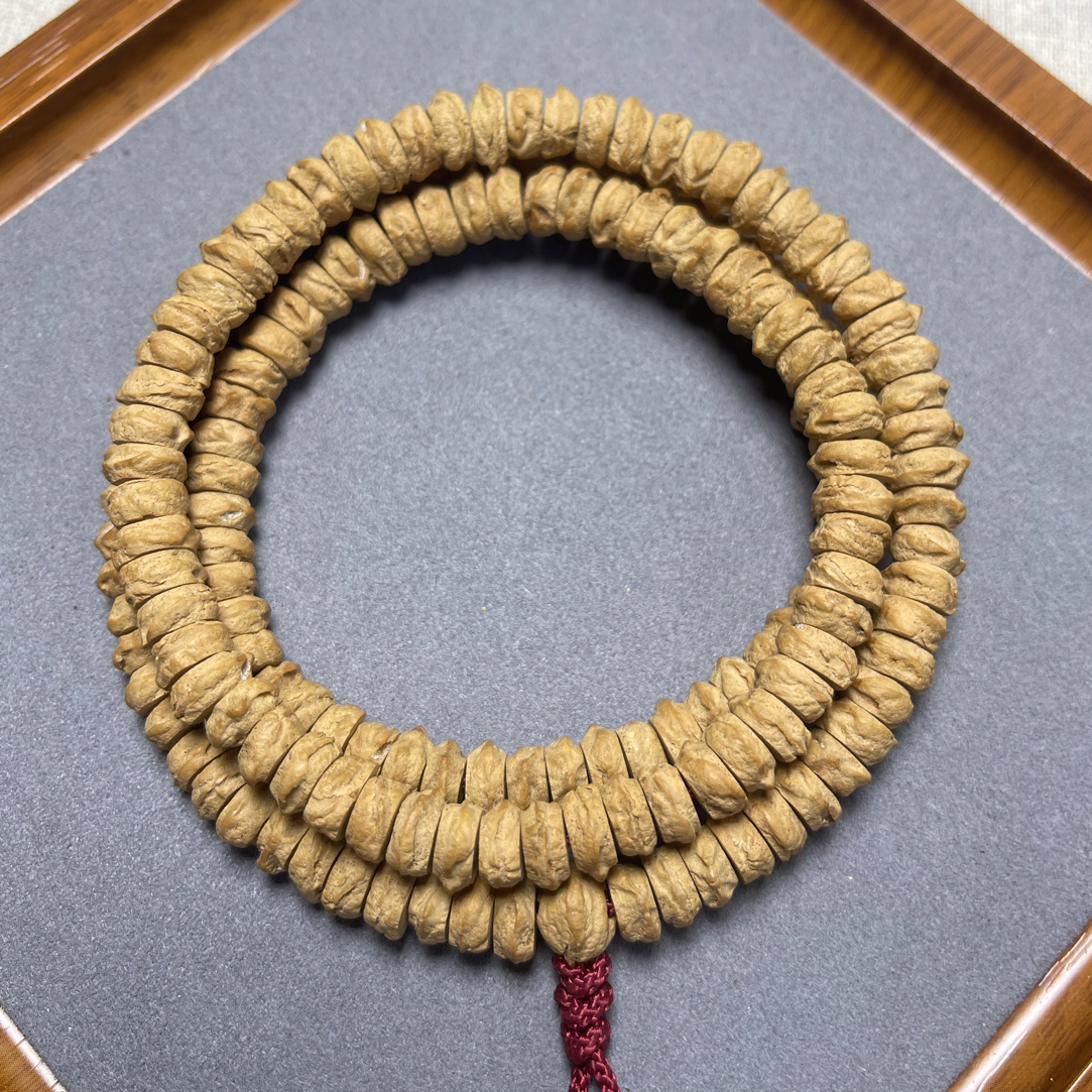 藏切高油高密柏香籽长串天然文玩精品