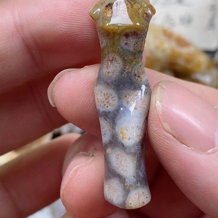 颈饰未镶嵌硅化珊瑚（珊瑚玉）