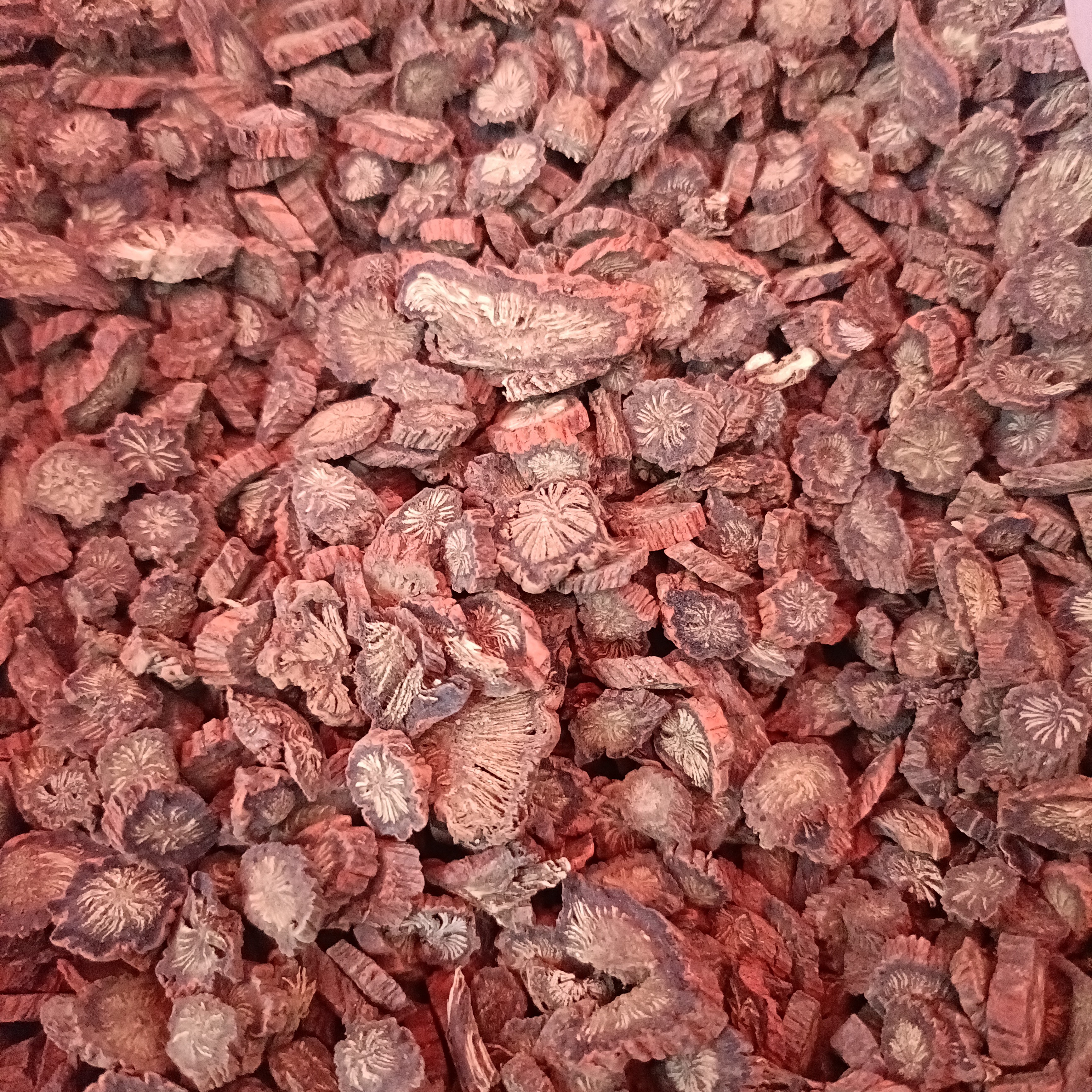 【云南土特产】丹参片