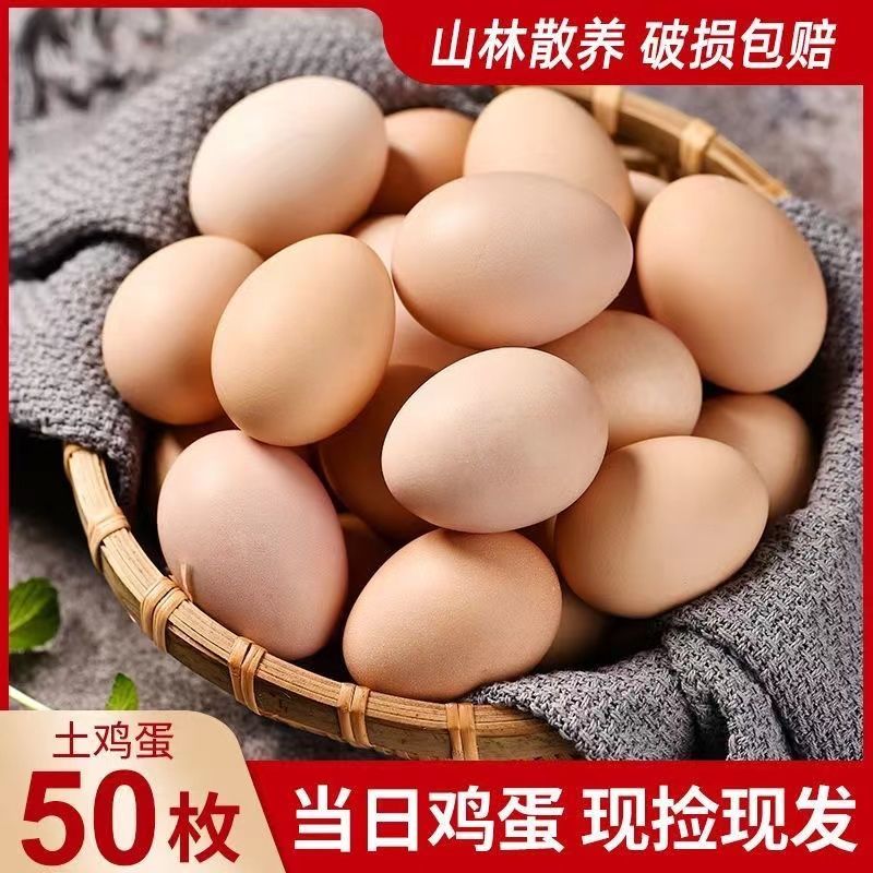 【新品50枚]山林散养土鸡蛋新鲜鸡蛋营养健康每日甄选40-50克鲜蛋
