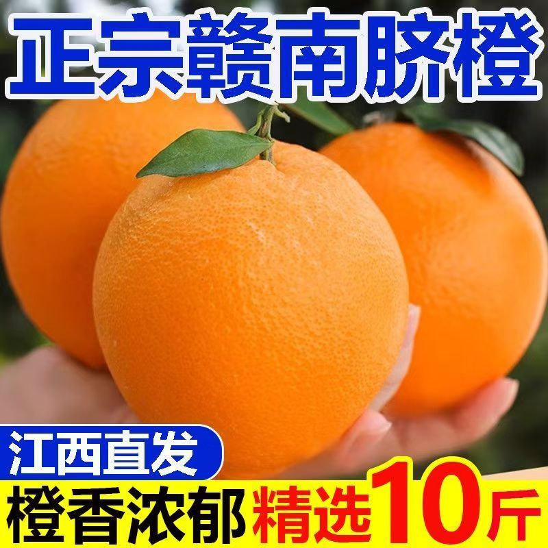 正宗赣南脐橙果园直发当季新鲜清甜多汁橙子