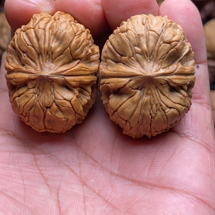 把件文玩核桃蟒纹虎头