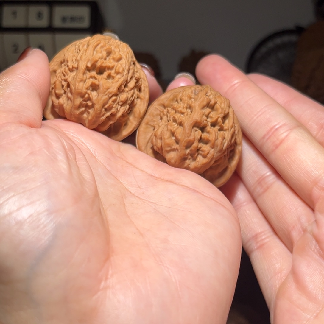 q***r木质类蚂蚁沟40全品