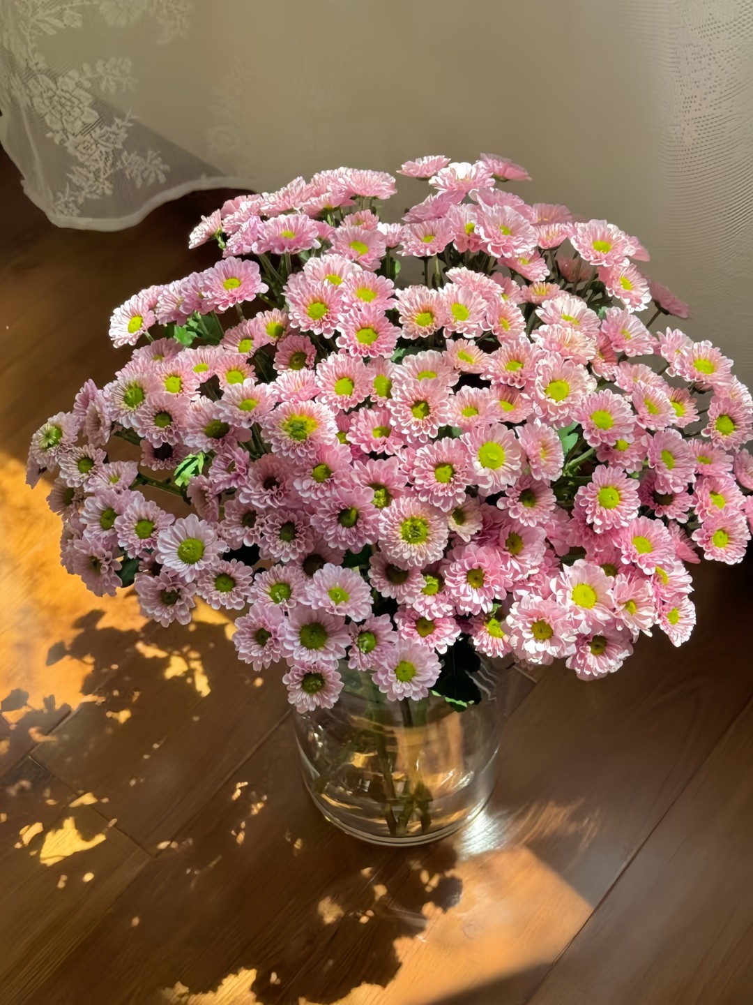 【珍珠粉】多头鲜花小菊云南昆明基地直发精品鲜家庭水养插花