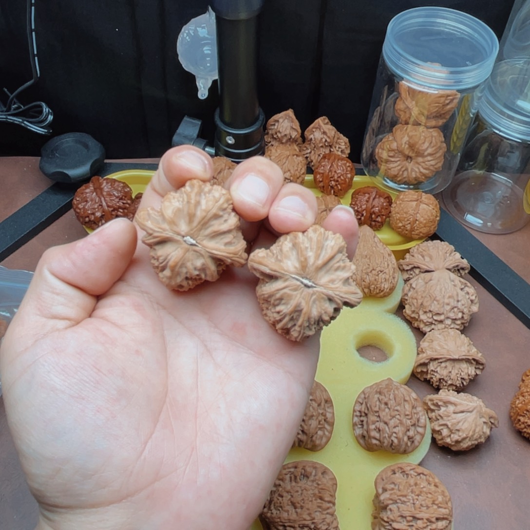 ￴***￴文玩核桃把件白狮子