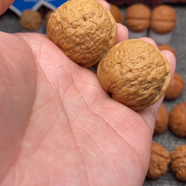 文玩核桃把件鱼籽纹