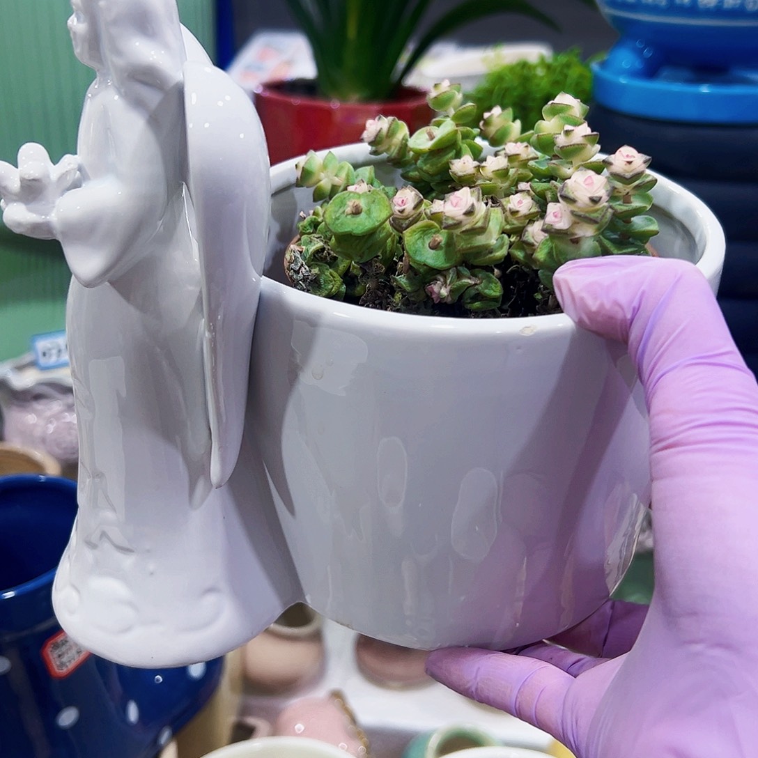 外贸尾单陶瓷花盆凑单10米包邮