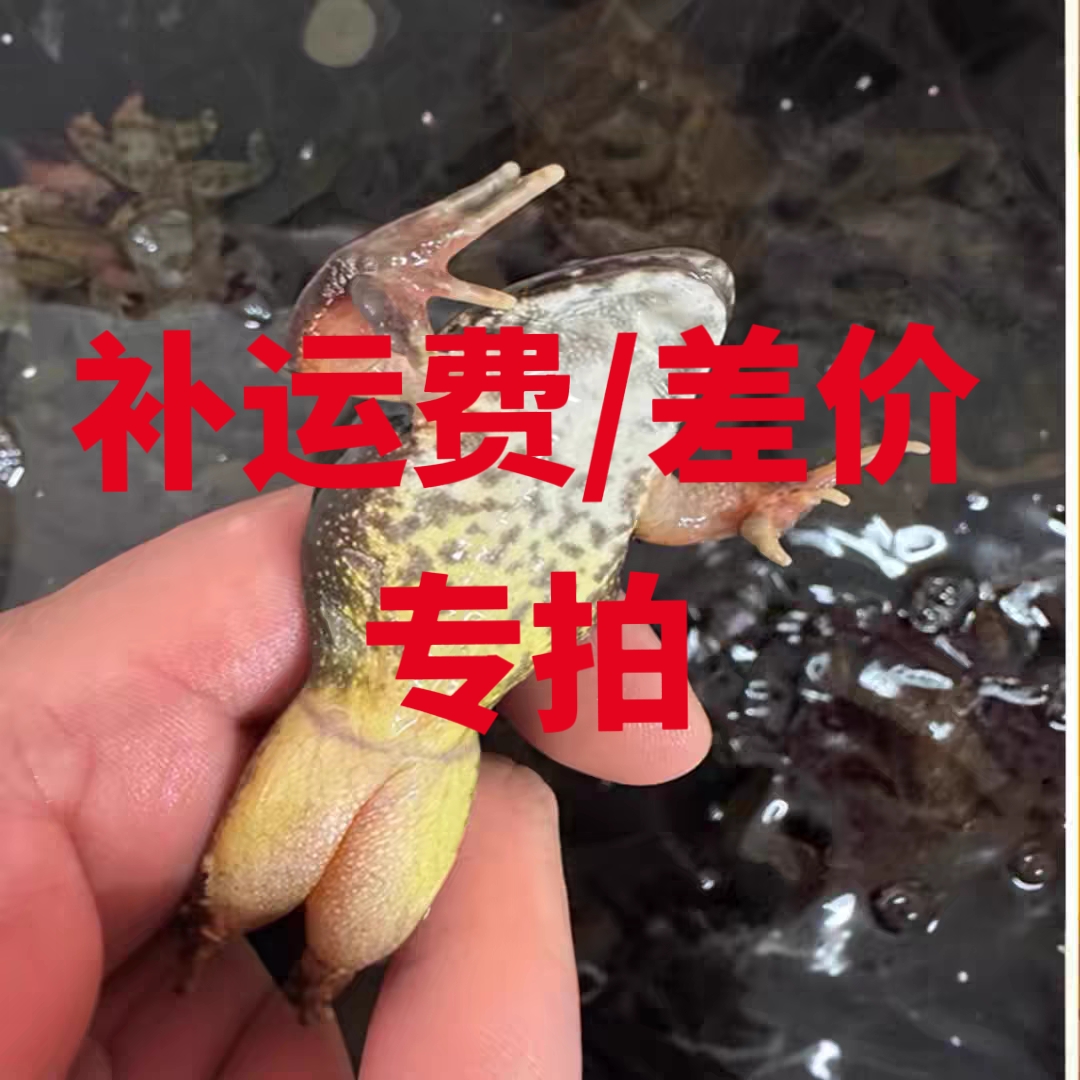 东北河鲜补差价补运费专拍