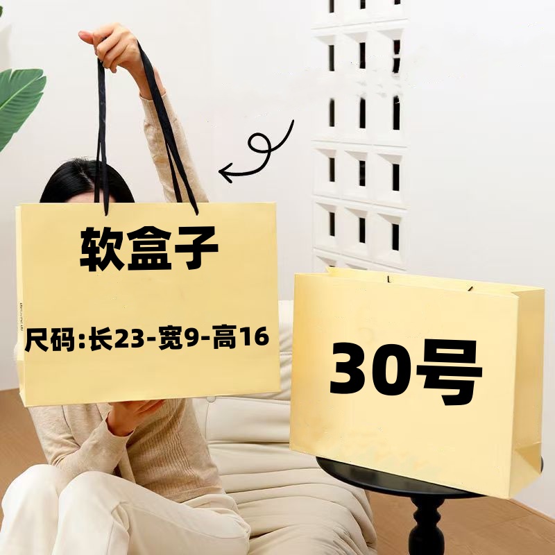 【30号】2025秋季新款软盒子包时尚轻奢