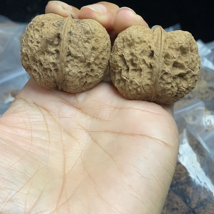 木质类云南铁核桃+30