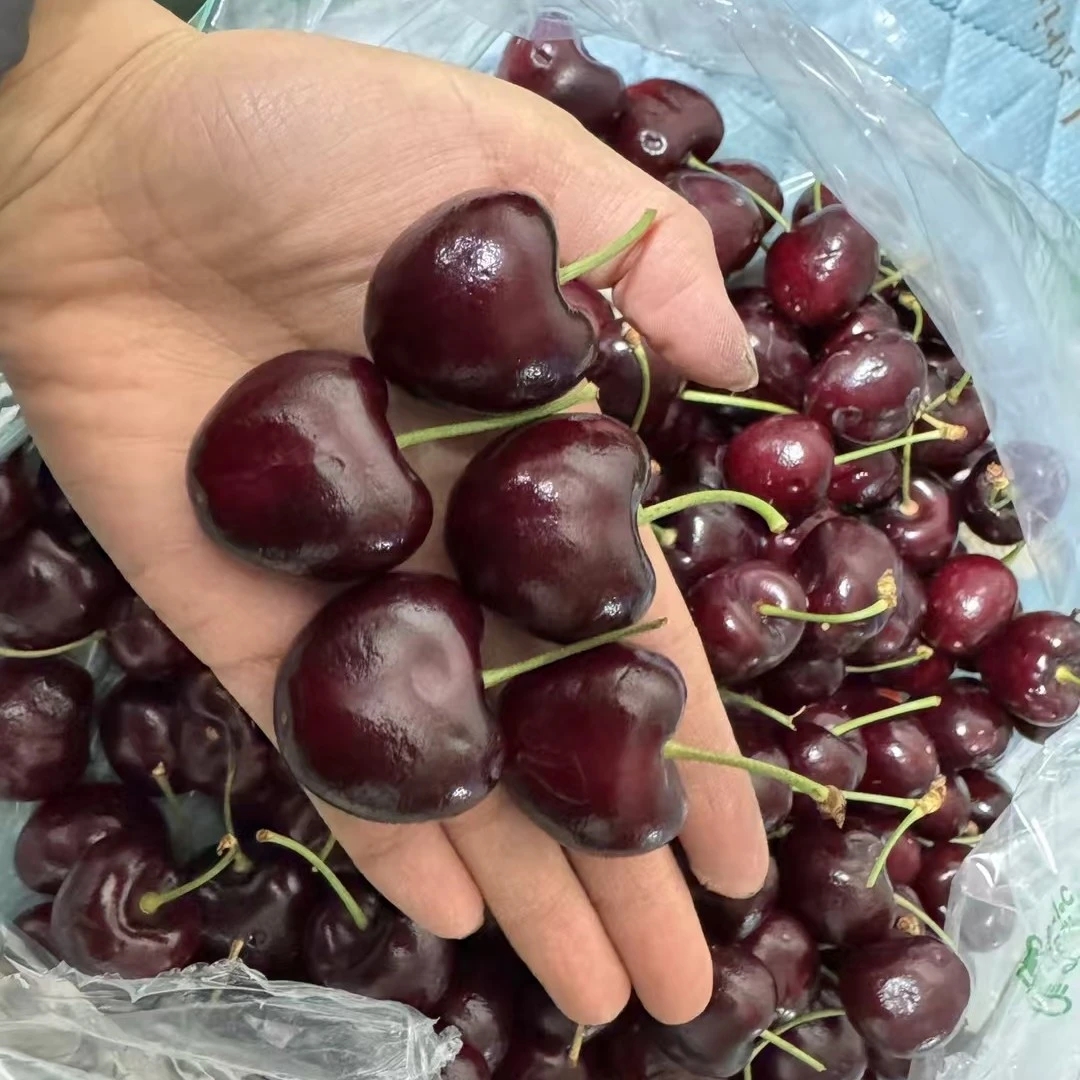 单J果纯冰车厘子5斤