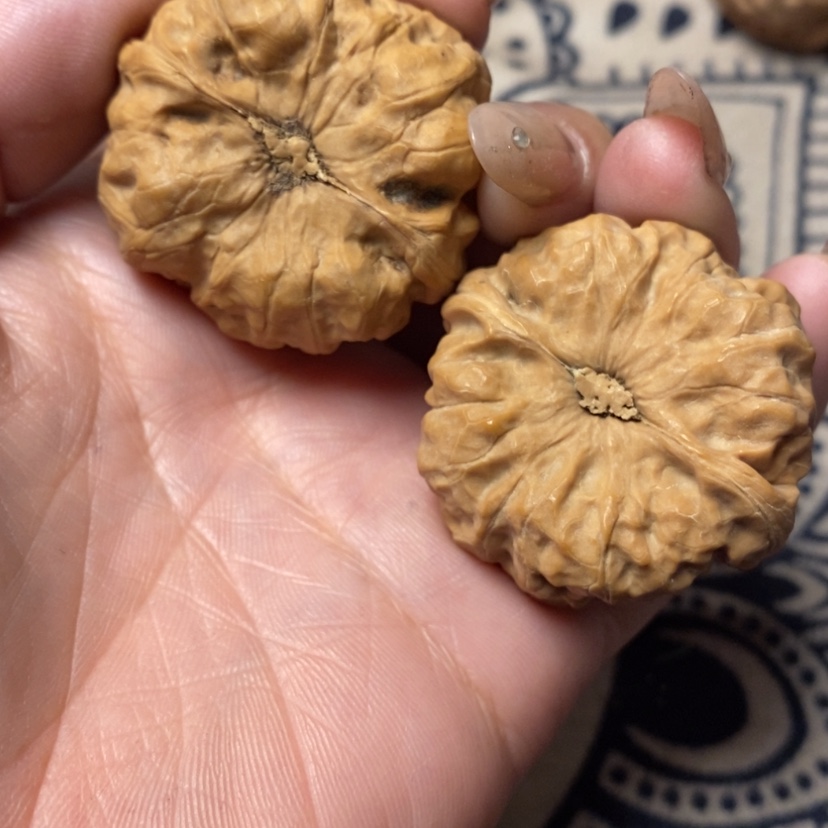 【闪购商品】文玩核桃吊坠纵****弃蛤蟆头。花