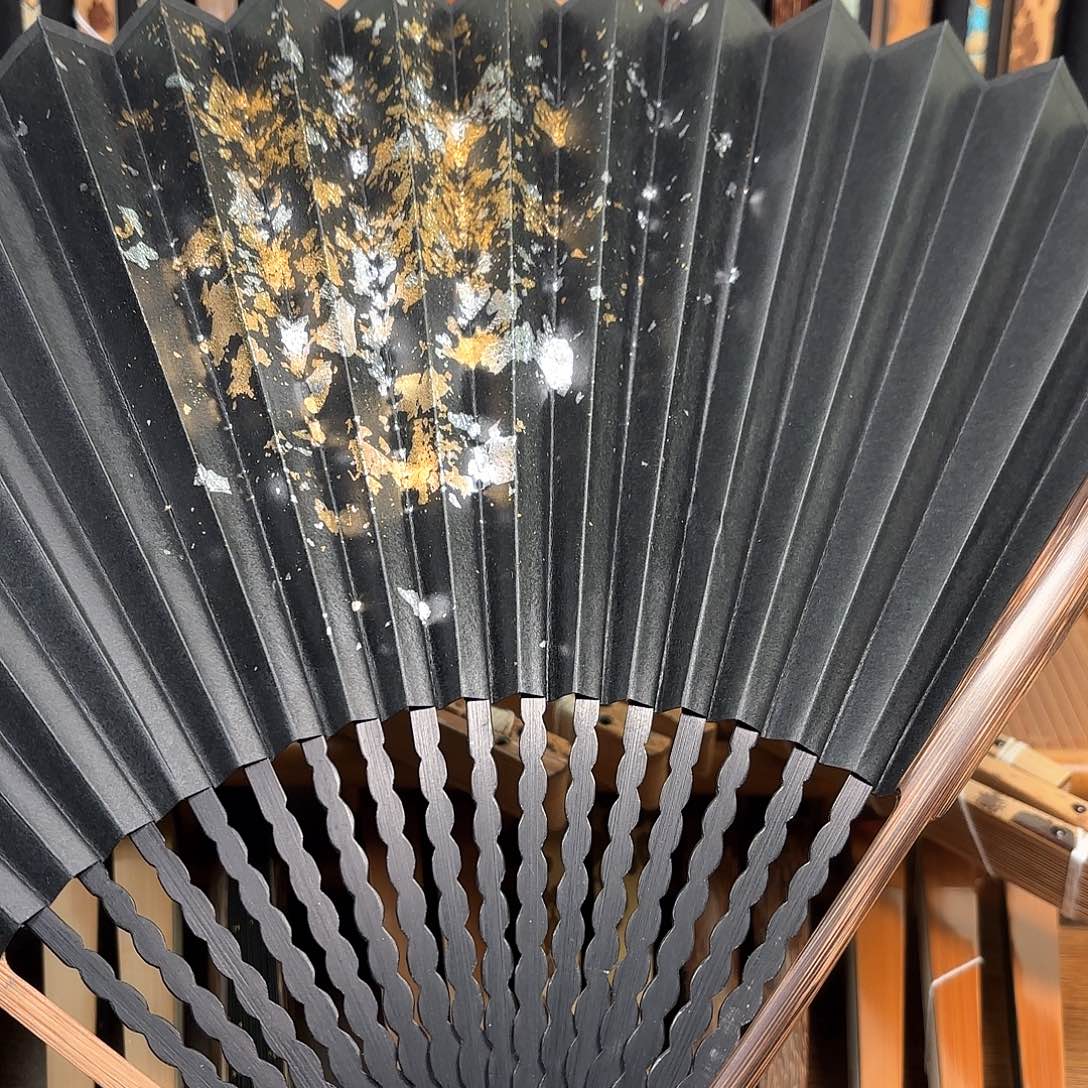扇子爆炸金龙鳞棕竹