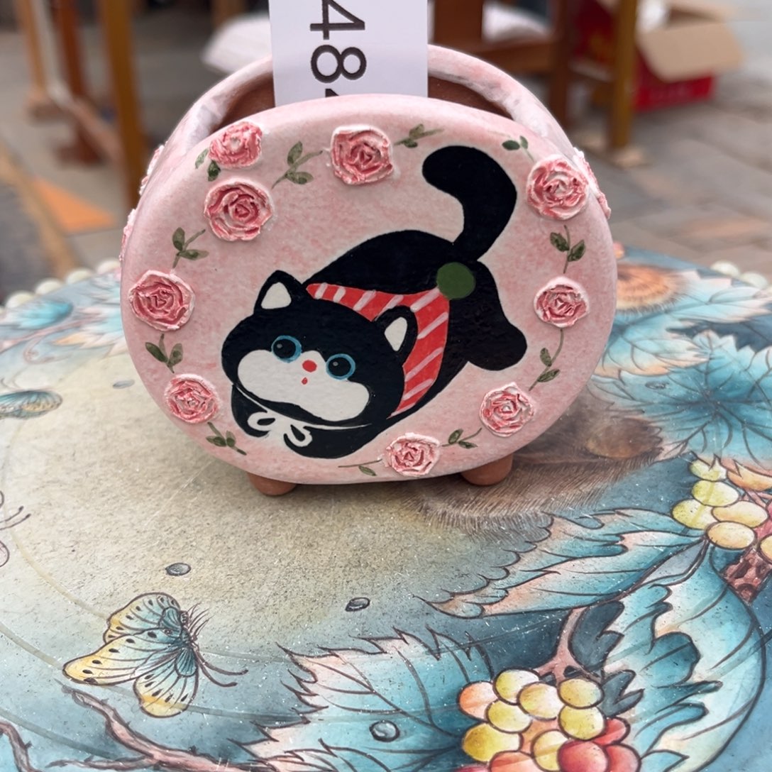 考***江484多肉花盆   1个