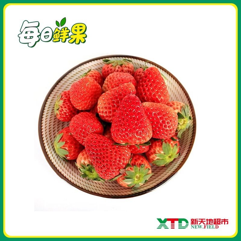 【热销水果】精品九九草莓450-500g/份