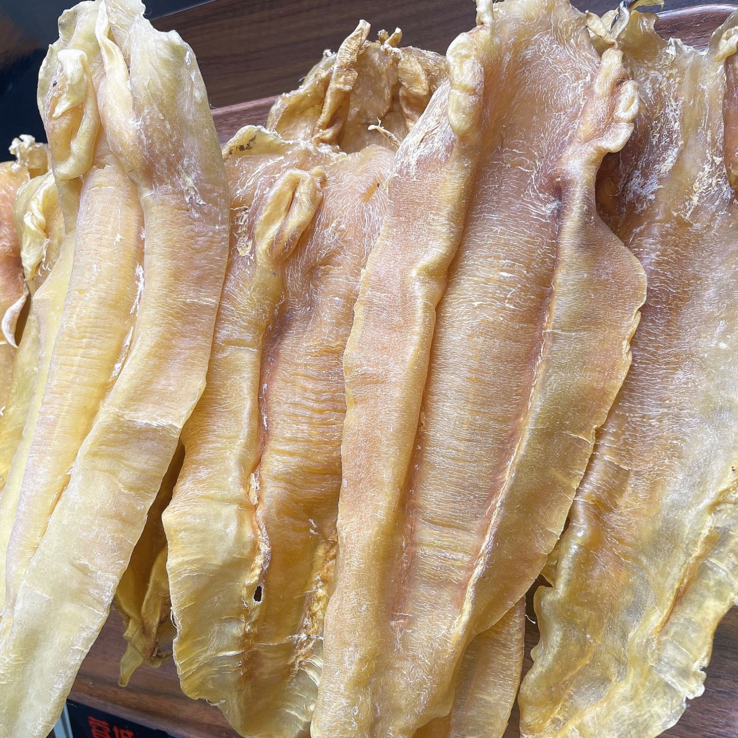 苏公 苏里南北海公 深海鱼胶肉质老腊 足干 老货 收藏级别