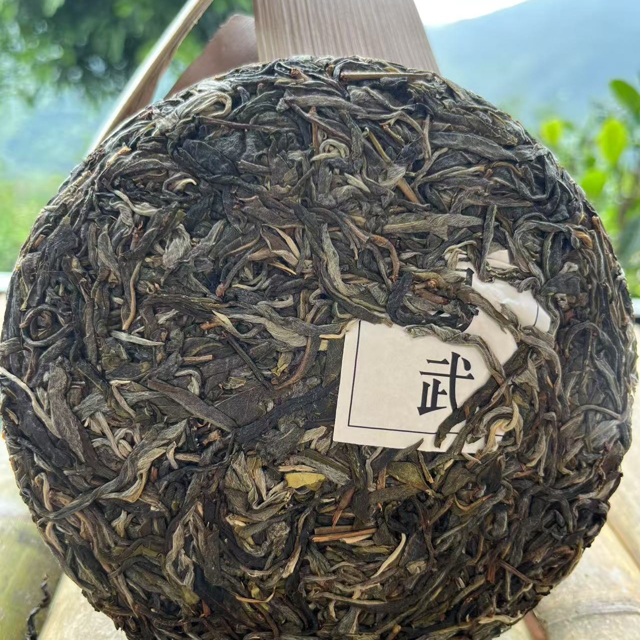  25年 头春 古树挑采  野蜜香冷杯香茶气足山野韵强 尾水甜