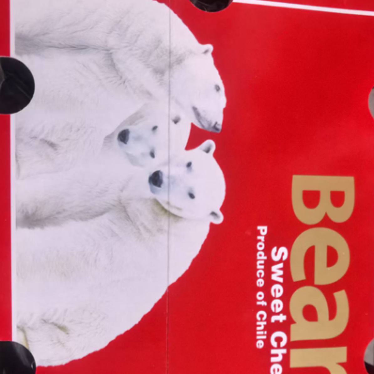 3JJJ车厘子冰熊原箱净重5斤智利海运车厘子年货同城