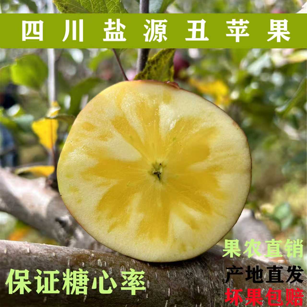 正宗四川大凉山盐源高山冰糖心新鲜多汁丑苹果现摘现发果肉细腻