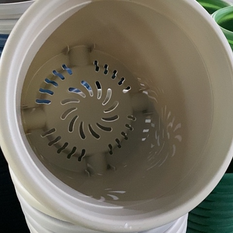 树脂微瑕3#无托灰白10个