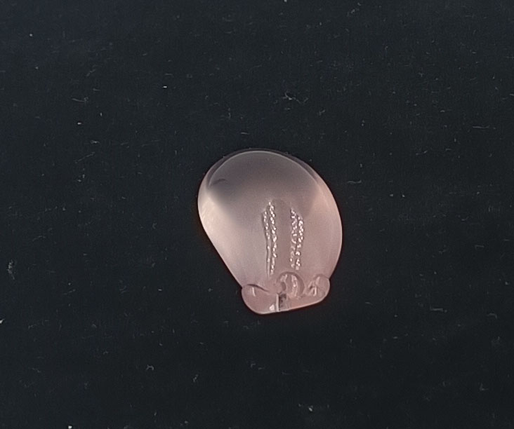 挂件-紫色挂件送棉绳