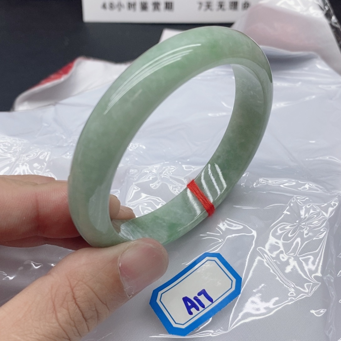 雨***雁岫玉未镶嵌手镯翡手镯A17