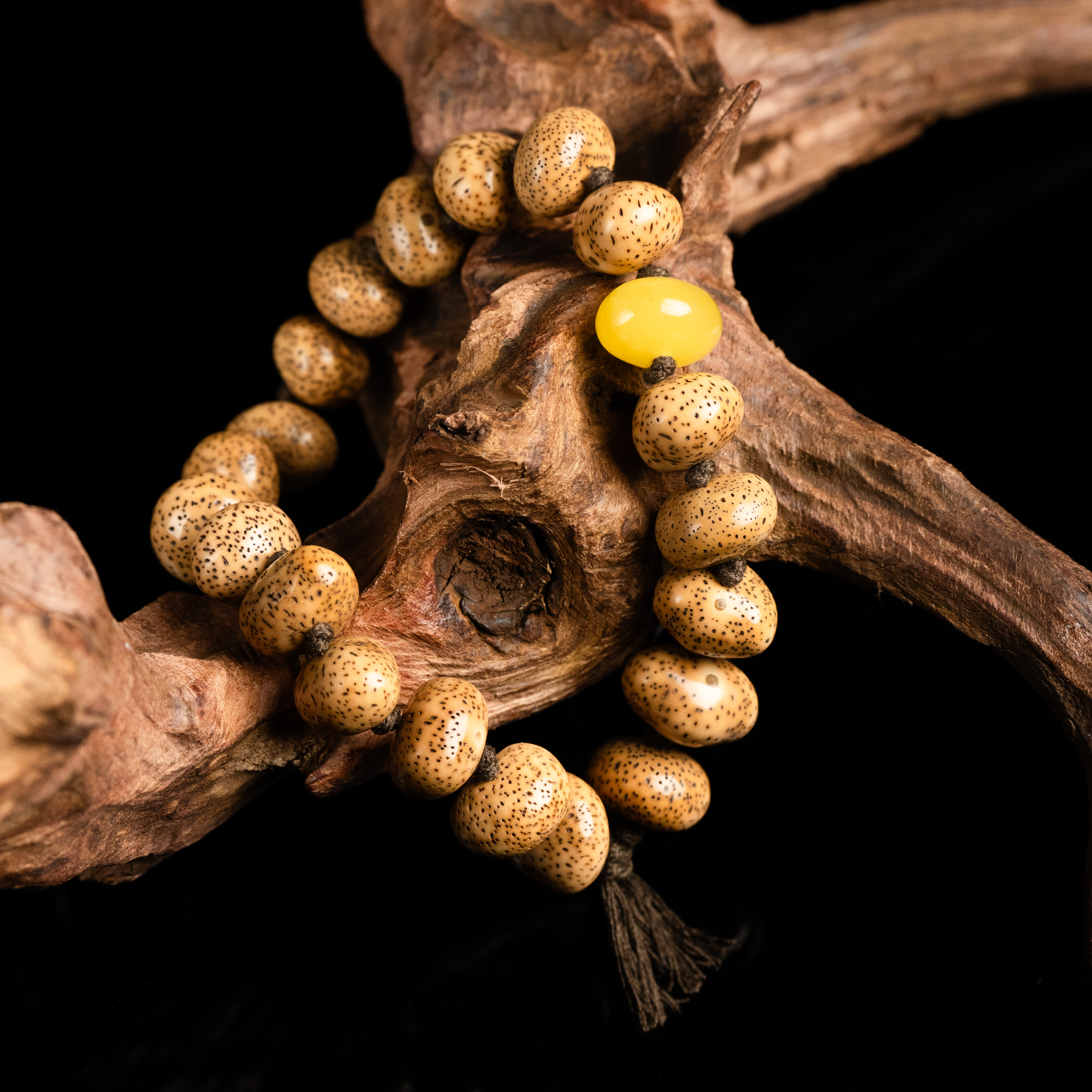 酸儿文玩·精工级粉皮浅珀星月老陈籽随形尺寸手持老陈籽